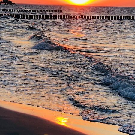 Igel Διαμέρισμα Zingst Εξωτερικό φωτογραφία